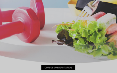 Universidad de Morón Curso Universitario: » Herramientas nutricionales para cuidar tu salud y mejorar tu rendimiento»