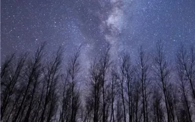 El fotógrafo de Haedo, Sebastián Jeremías fue seleccionado finalista en la reconocida feria de fotografía Pinta BAphoto