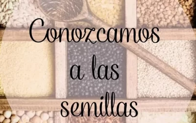 Salud: Nutrición  Nutrinoticias: Conozcamos a las Semillas: