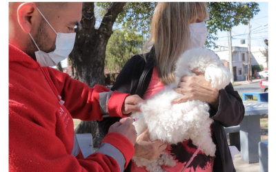 » Día Mundial contra la Rabia”: Vacunación Gratuita para perros y gatos