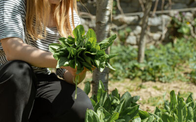ITUZAINGO: CHARLA DE ALIMENTACIÓN SALUDABLE EN LA TORCAZA