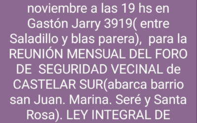 FORO DE SEGURIDAD VECINAL DE CASTELAR SUR