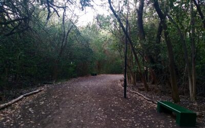 La Reserva Natural de Morón  es la elegida para un domingo en medio de la naturaleza