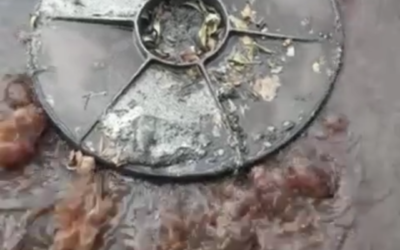 Ahora en Morón!! :  Vecinos reclaman la intervencion  Urgente de AYSA y el Municipio