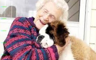 LAS RESIDENCIAS GERIÁTRICAS PODRÁN RECIBIR MASCOTAS PARA ACOMPAÑAR A LAS PERSONAS MAYORES.