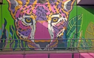 El túnel de Haedo se viste de color