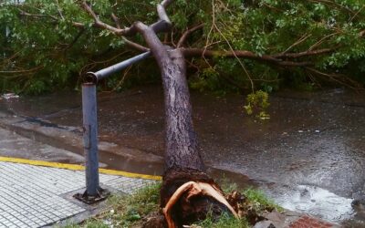 TEMPORAL EN ITUZAINGO