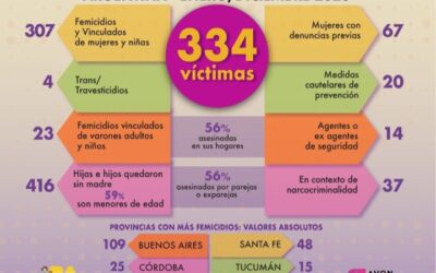 En Argentina durante el año 2023 hubo una víctima de violencia de género cada 26 horas