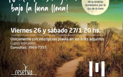 Visita guiada a la luz de la luna