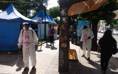 Basta de Mosquitos en Morón