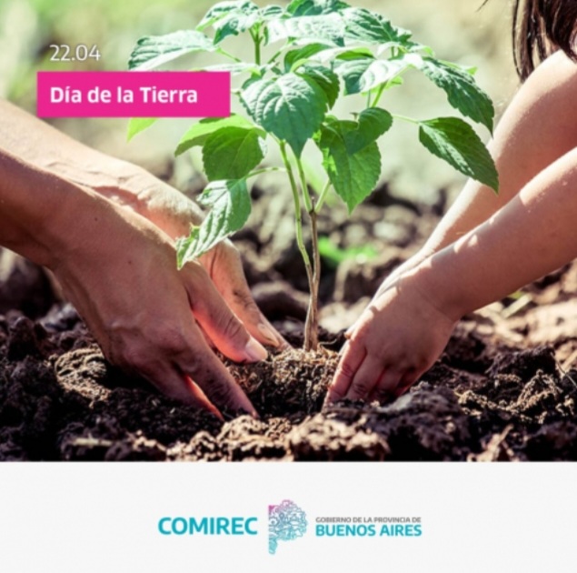 ECOPATIOS presentado por el Programa de Educación Ambiental