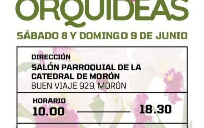 Feria de Orquídeas en Morón