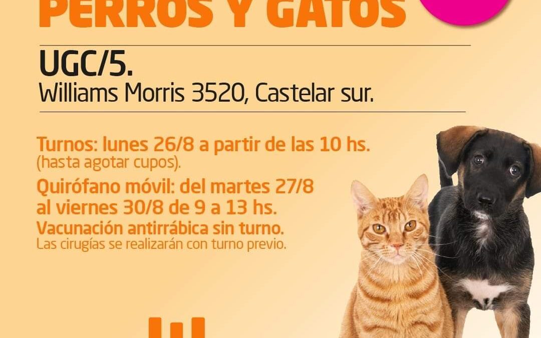 CASTELAR SUR: Semana de Salud Animal 