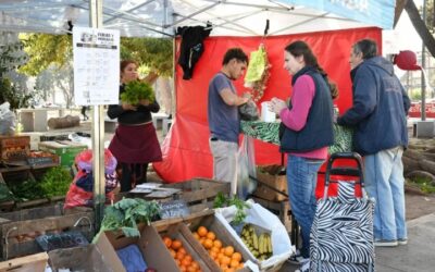 Morón , mercados y ferias ayudan a la canasta familiar