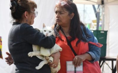 Morón continúa con operativos para facilitar trámites municipales.