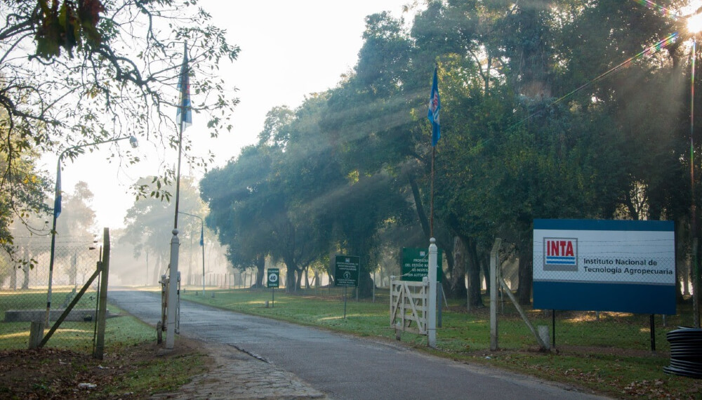 HALLARON UN CADAVER EN UN PREDIO DE INTA
