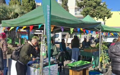 POR EL DIA MUNDIAL DEL AMBIENTE SE ORGANIZO UNA JORNADA EN PLAZA LA ROCHE