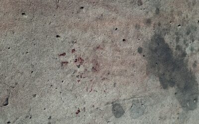EL PALOMAR: UN HOMBRE MATO A UN DELINCUENTE DE 14 AÑOS QUE QUISO ROBARLE EL VEHÍCULO