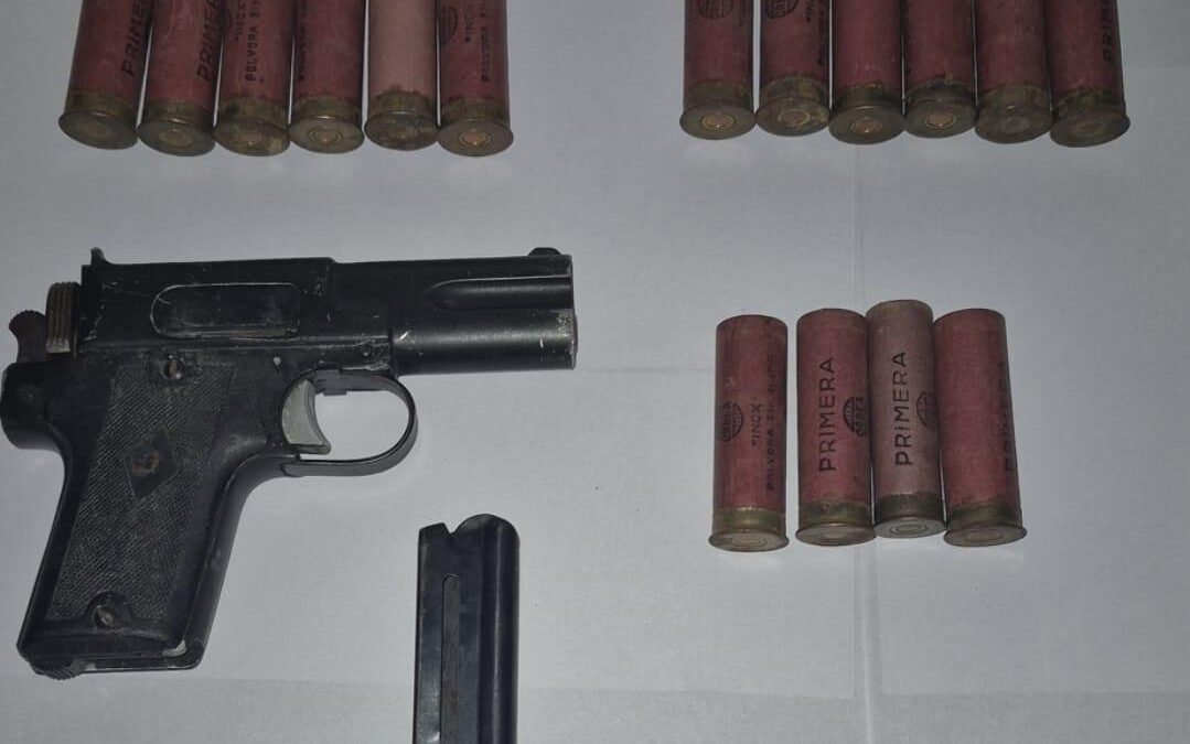 EL PALOMAR: DOS DETENIDOS Y ARMAS SECUESTRADAS EN UN OPERATIVO CONTRA EL DELITO