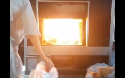 MORÓN: GOLPE AL NARCOTRÁFICO: INCINERARON UNA TONELADA DE ESTUPEFACIENTES