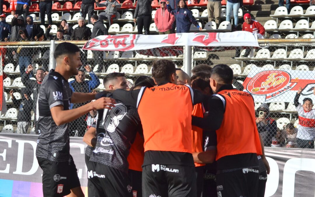 EL GALLO MIRA A TODOS DESDE ARRIBA