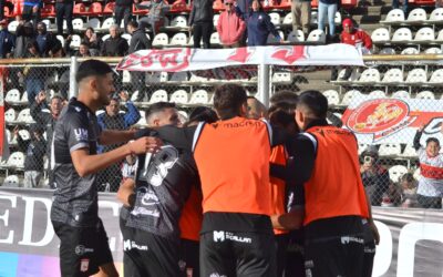 EL GALLO MIRA A TODOS DESDE ARRIBA