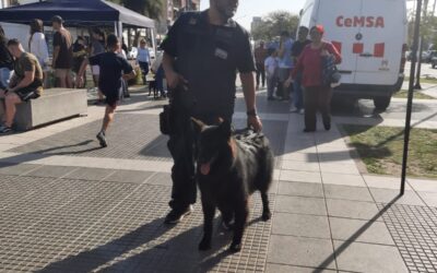 HAEDO: EL SABADO 9 HABRA VARIAS ACTIVIDADES PARA CELEBRAR EL DIA DEL ANIMAL