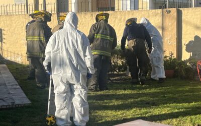 MACABRO CRIMEN EN CASTELAR: ASESINÓ A SU MADRE Y ENTERRÓ EL CUERPO EN EL JARDÍN DE SU CASA