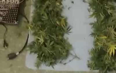 ITUZAINGO: FALLECIO UN BEBE EN UNA CASA EN LA QUE SUS PADRES COMERCIALIZABAN DROGA